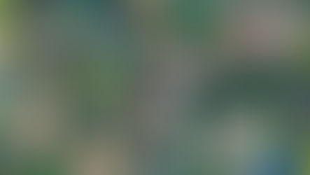 Scaling Down, The Place of Limited Studies in the Digital Humanities Landscape 