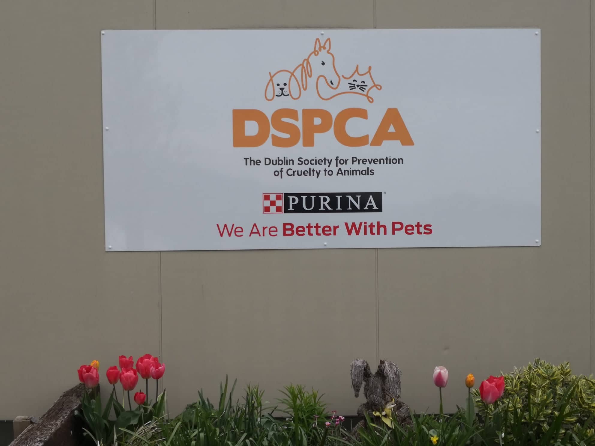 DSPCA