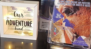 Help us save equines ~ update on our money boxes