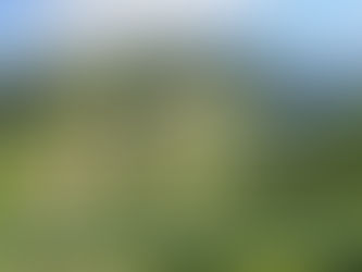 Withdrawal of the Anti-Environmental Bill