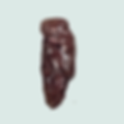 Beef Kidney per lb