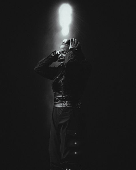 Janet Jackson, Concert Photography