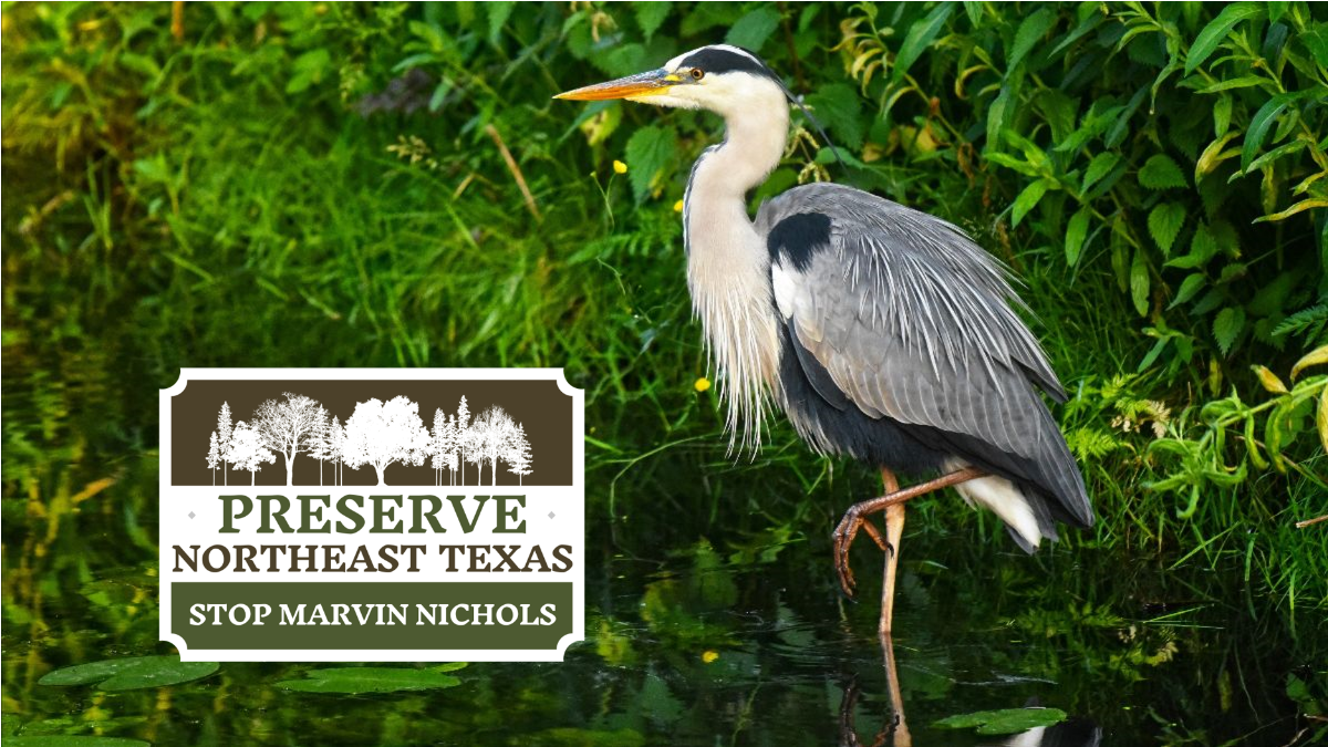 YOU’RE INVITED STOP MARVIN NICHOLS TOWN HALL Tcatexas