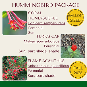 Hummingbird Favorites Package.png
