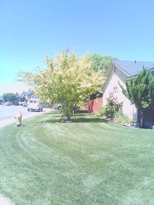 IMG_20120624_151518.jpg
