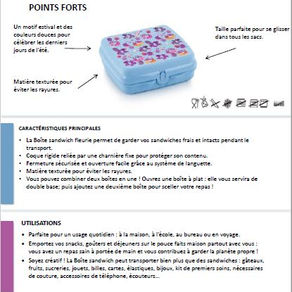 Boite sandwich fleurie