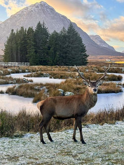 FB_IMG_1732201680422