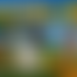 Best Golf Drivers for Forgiveness (2026) – Hit More Fairways with Confidence