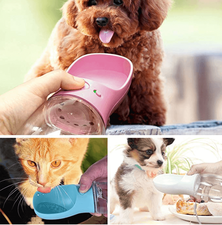 Gadgets para ir de vacaciones con mascotas