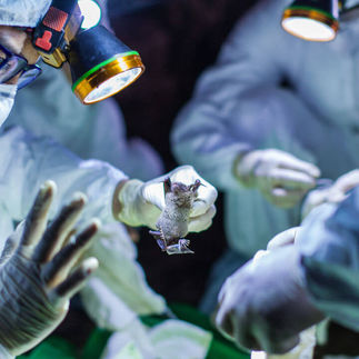 ¿Aún Tienes Dudas Sobre Coronavirus? Todas Las Respuestás Fundamentales