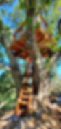 double-decker-treetop-treedeck1