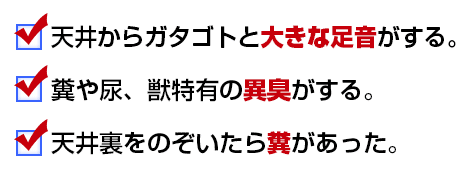 天井からガタゴト