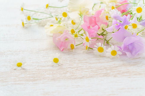 花たち