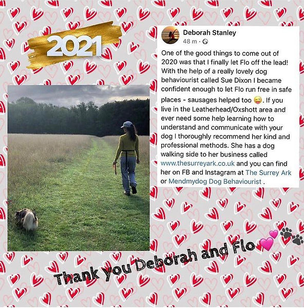 The Surrey Ark, Certified Dog Behaviourist, Mendmydog Dog Behaviourist, Dog Walker, Dog Sitter, Cat Sitter, Pet Care, fully insured and 11 year's experience. Claygate and Esher based, loving care and we use Positive Dog Training Methods. We walk and train reactive dogs and offer solo and bespoke walks for nervous dogs. 