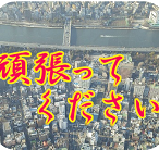 NT_V2_05.png