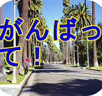 HUSA_05.png