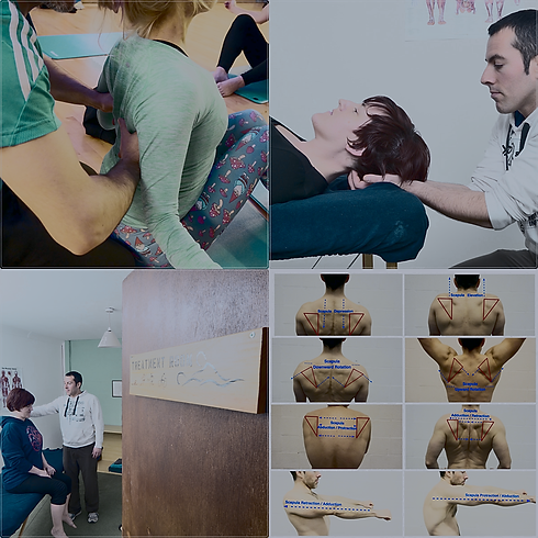 soft tissue photo.png