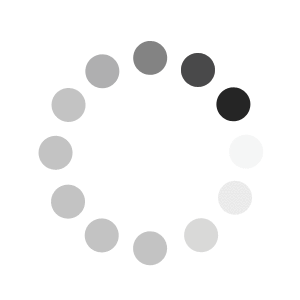loading_gif.gif