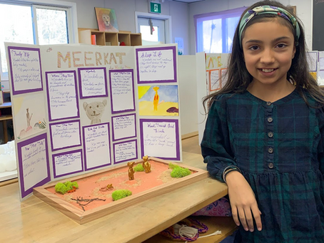 Grade 4 Students Share Their Animal Projects