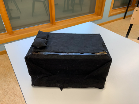 Grade 11 STEM Projects - Summaries and Reflections from Students
