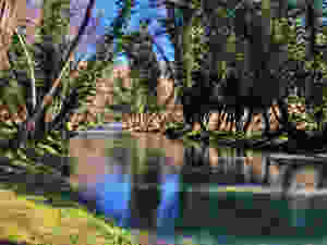 fiume-bussento-cammino-di-san-nilo-cilento-bizantino