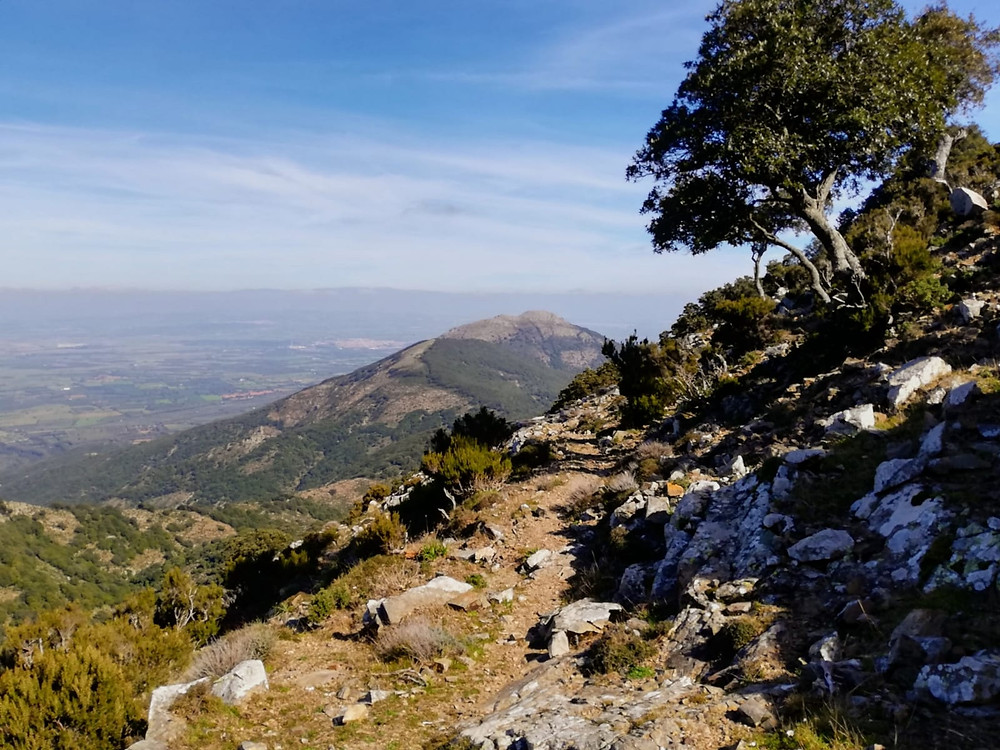 lungo-il-cammino-minerario-di-santa-barbara-sul-massiccio-del-linas