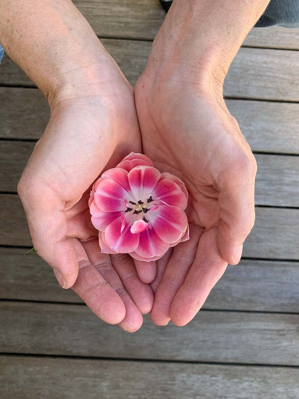 Craniosacrale Therapie