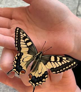 Palliative und Spiritual Care