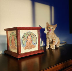 Cat Tree of life lamp with purple heart and a kitten