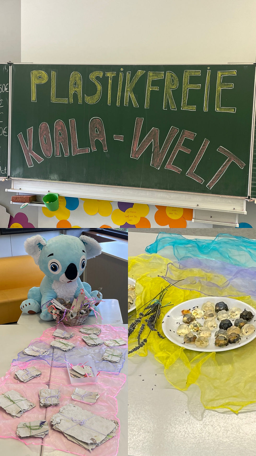 Plastikfreie Koalawelt - Klasse 3d