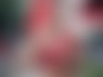 โปรไบโอติกจุลินทรีย์ที่มีชีวิตมีประโยชน์ต่อสุขภาพ โดย 70% ของระบบภูมิคุ้มกันอยู่ที่ลำไส้