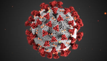 coronavirus-pagina-especial.jpg