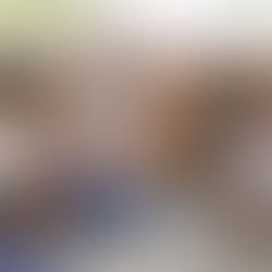 Head of School Message - Nov 13 Nurturing Minds and Hearts: Academic Excellence and Social-Emotional Well-being at ISHCMC