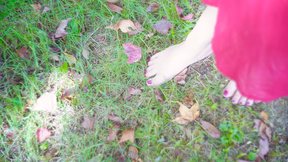 DSC00351.jpeg