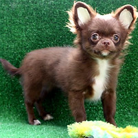 175730637_470564504191518_51451053206732