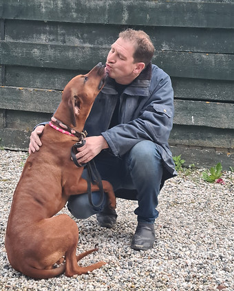 190115999_528422461494647_79358389915728