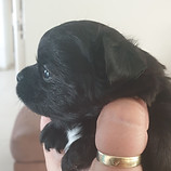 117600136_1256051404772894_2029177023657