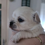 142007747_208703744333891_54458311961808