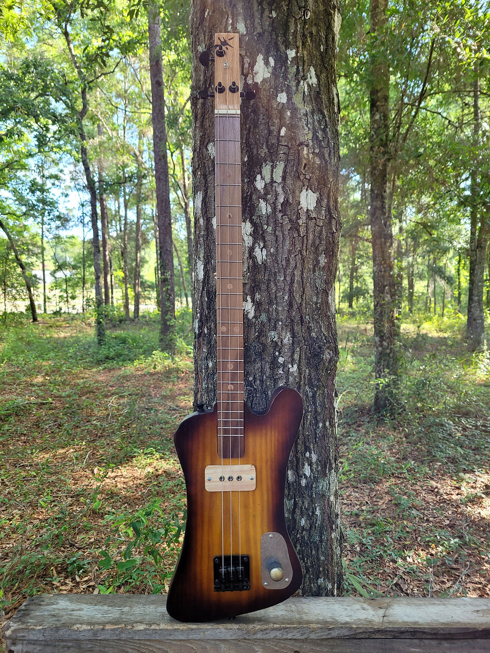 Thumbnail: 3 String Solid Body    - Southern Fire Bird