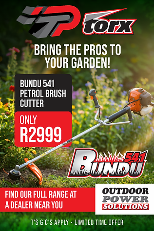 Torx Summer - Bundu 541_320x480.png