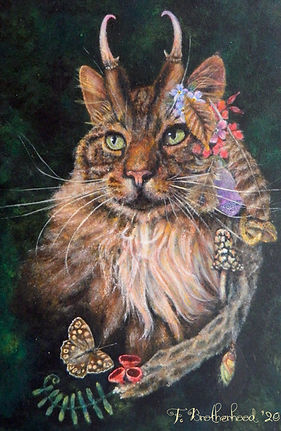 cat_edited.jpg