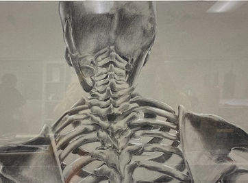 skeleton drawing.jpg