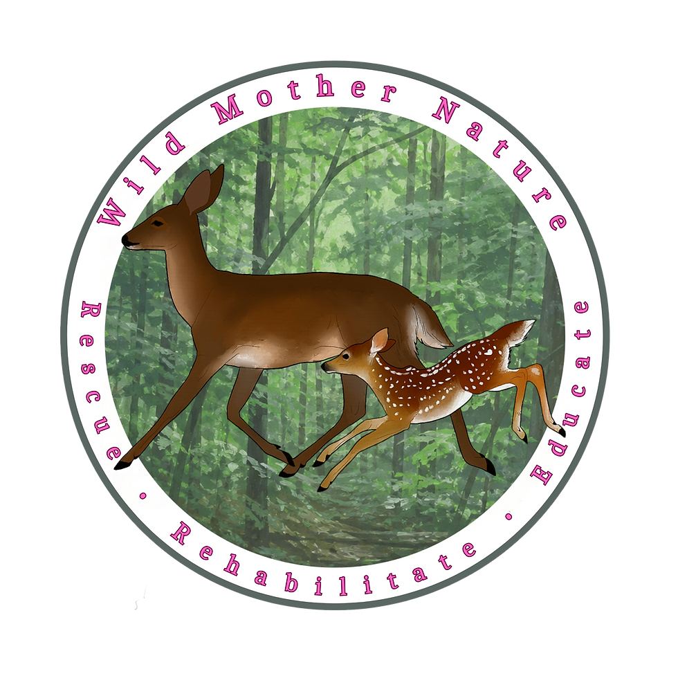 WIld Mother Nature (1700 x 1700 px) (3).png
