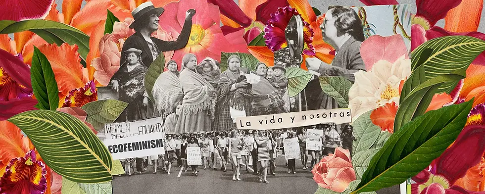 Ecofeminism and the Beauty Industry: A Path to Transformation