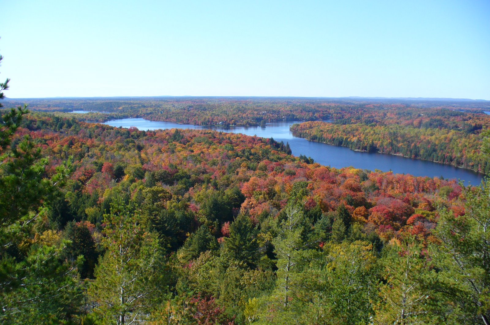 Moose big game hunting packages — Waterfalls Lodge Inc. – Waterfalls Lodge Inc.