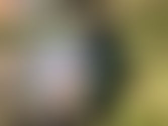 ハウス加賀谷の人生坂道発進　第一回