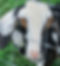 New Beginnings Farm TN