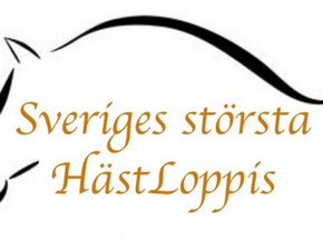 Hästloppis 3/12