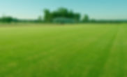 background-1.jpg
