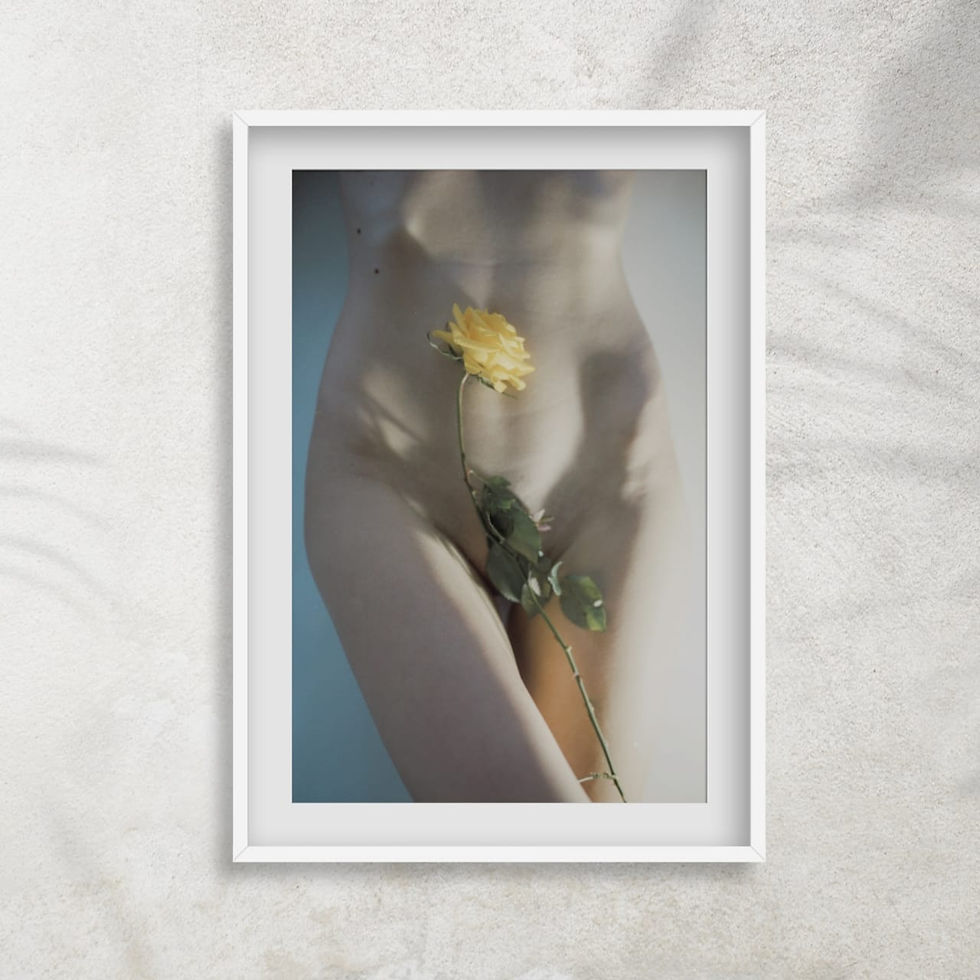 Untitled